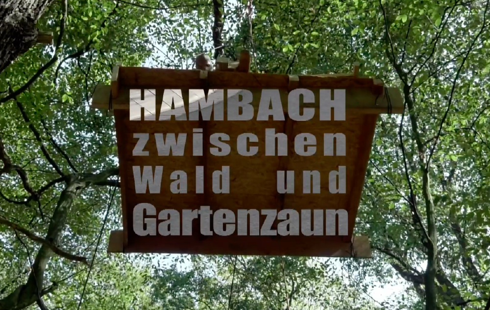 Filmtitel Hambach zwischen Wald und Gartenzaun mit Bäumen im Hintergrund