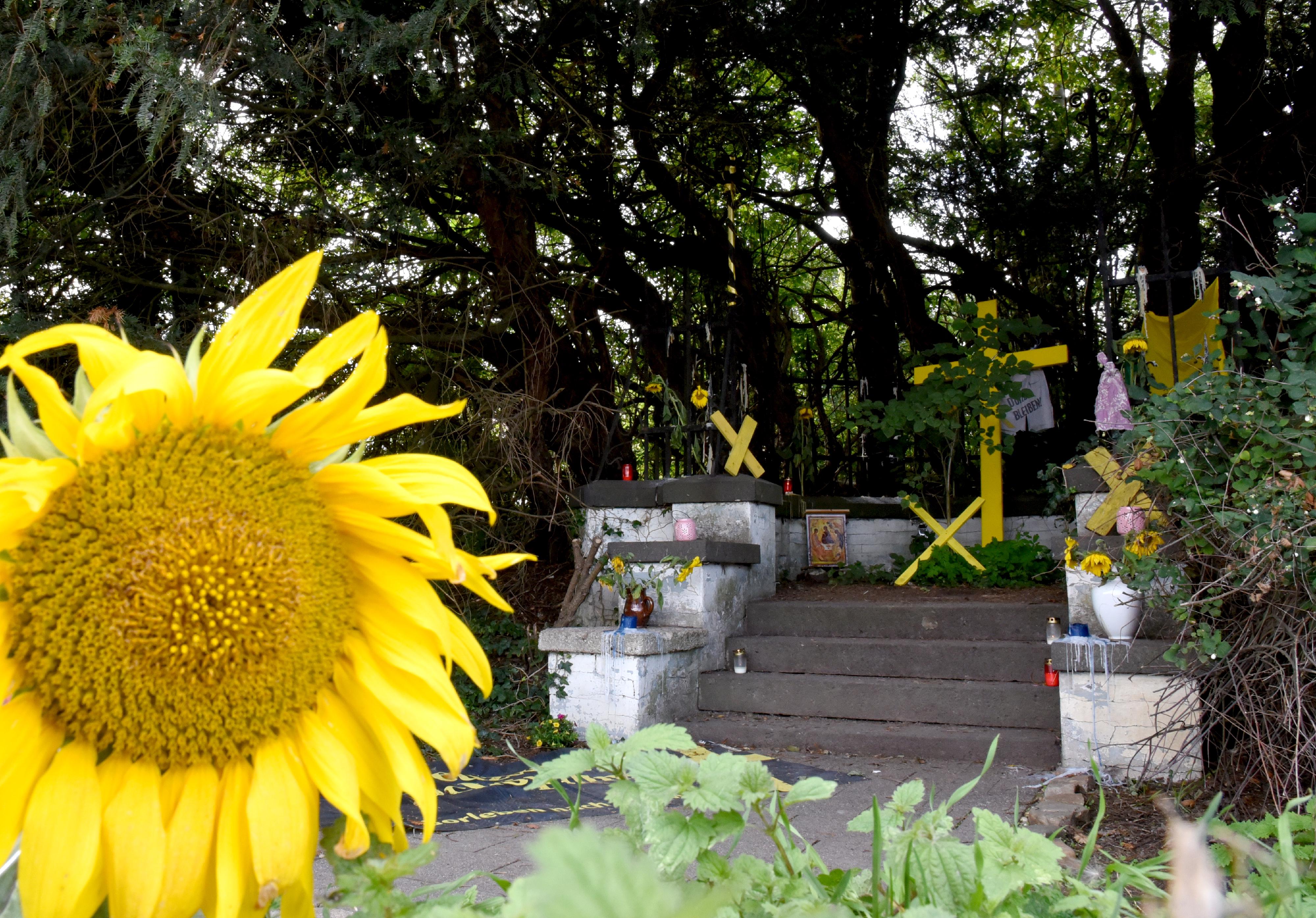 Eibenkapelle mit Sonnenblume im Vordergrund