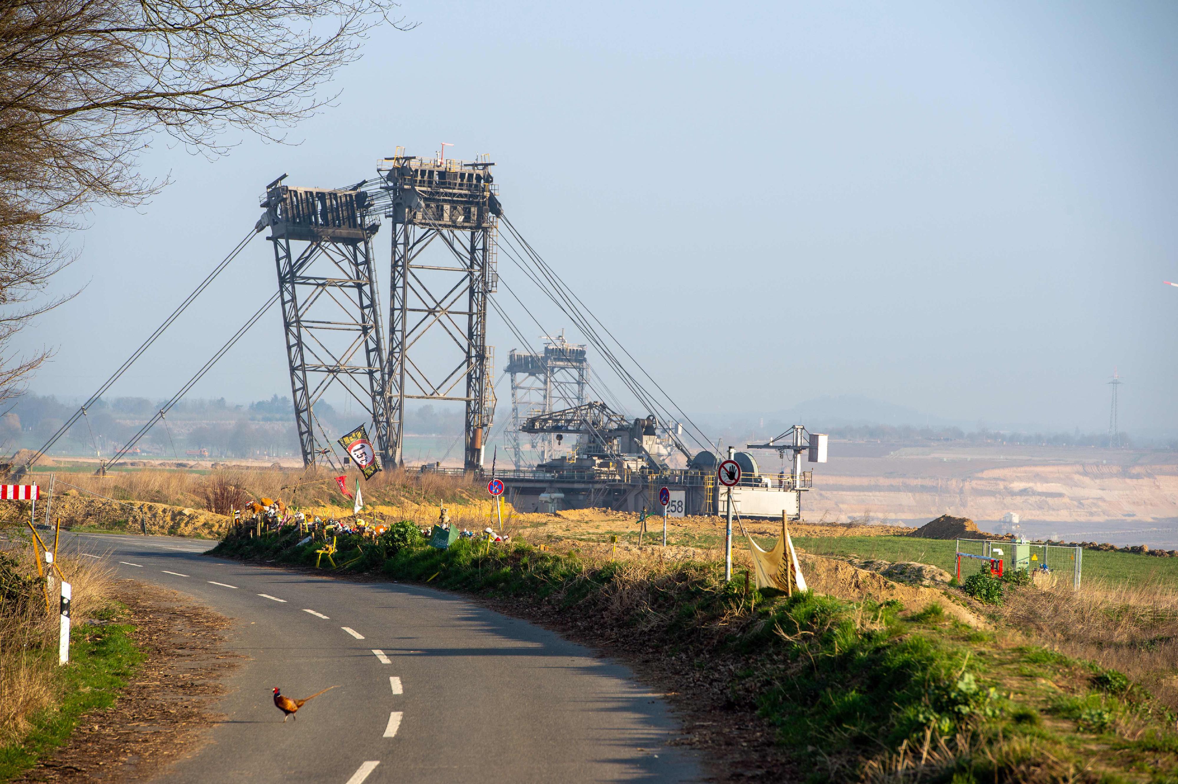 Bagger bei Lützerath mit Fasan auf der L277