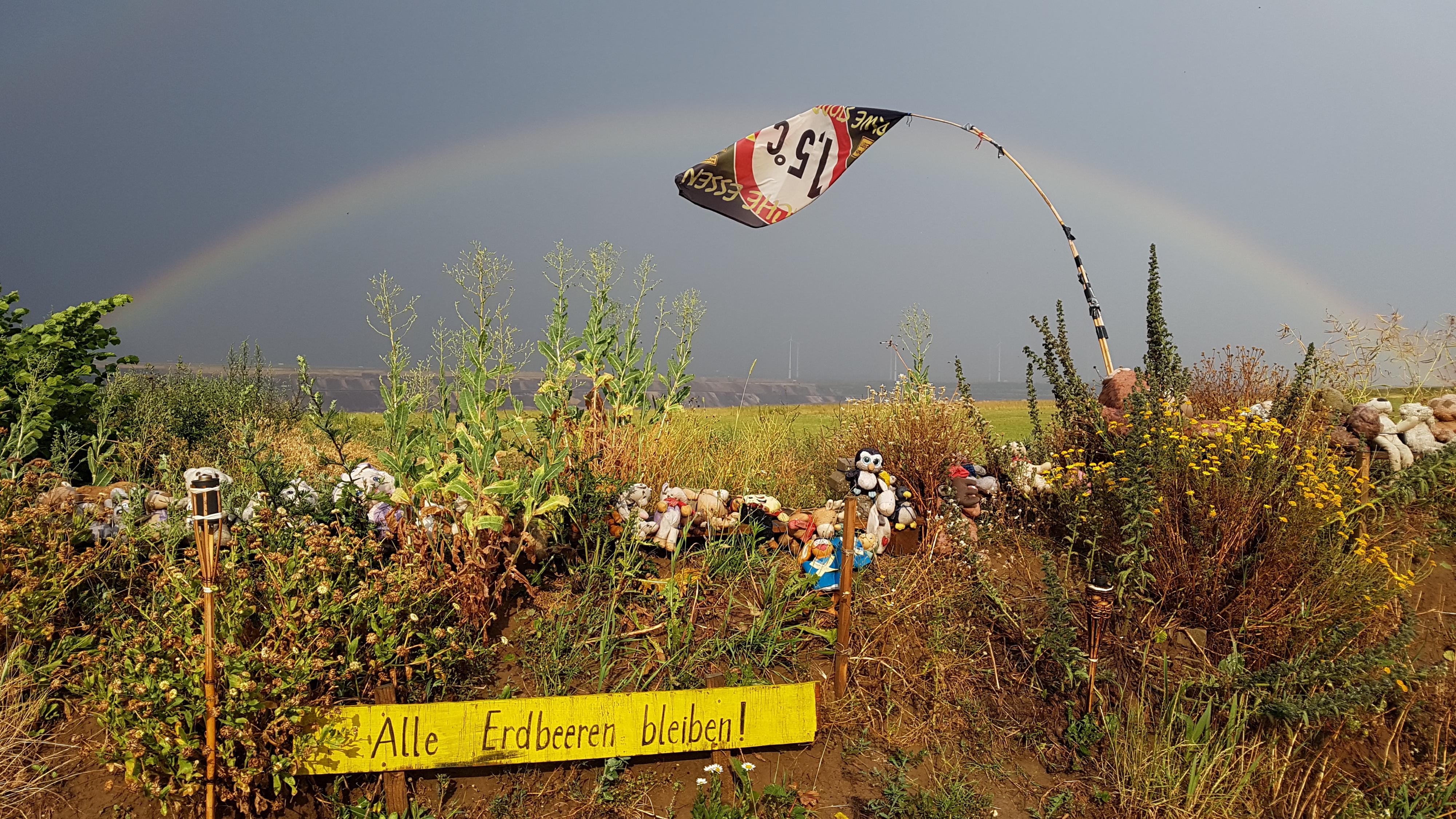 Sicht auf Kante mit Windräder und viel Himmel