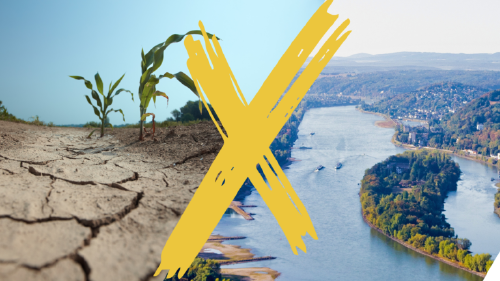 Links ein Bild von vertrocknetem Boder, rechts ein Blick aus der Vogelperspektive auf den Rhein. Über die beiden Bilder ist ein großes gelbes X gemalt.