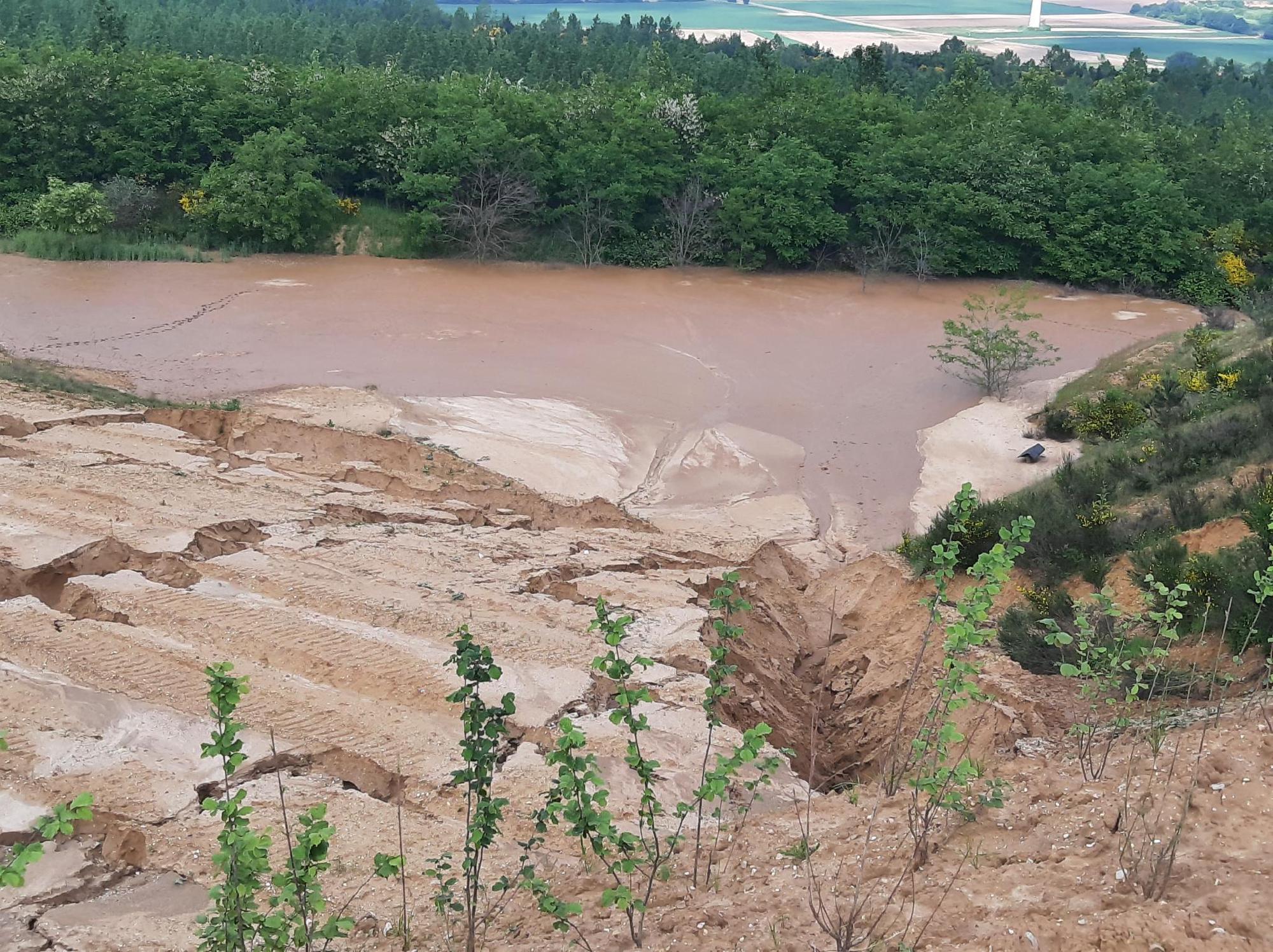 Bild zeigt im Vorderung Matsch und Erde mit Erosionsrissen. Im Hintergrund ist ein aufgeforsteter Wald zu sehen.